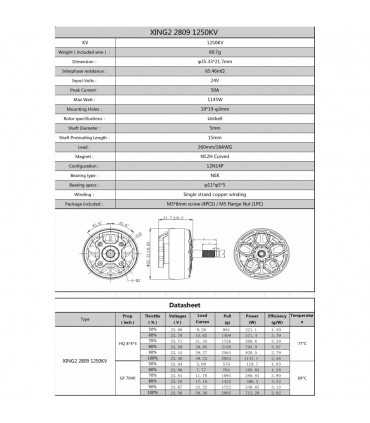 Безколекторний Двигун iFlight XING2 2809 3-6S 1250kv Unibell Motor